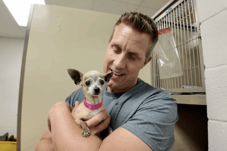 sitting-with-dogs-99-Penelope